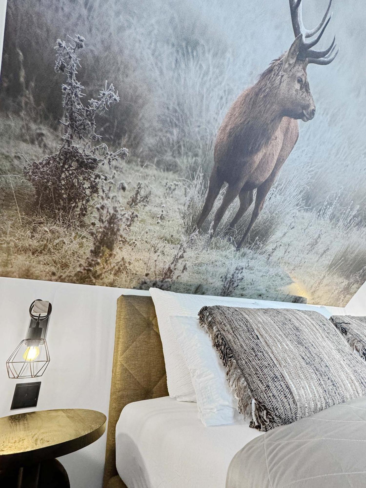 Cblue: Seeblick, Kamin, Wallbox, Natur Bentwisch Exterior foto